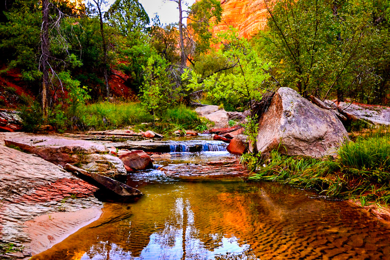 Left Fork of North Creek