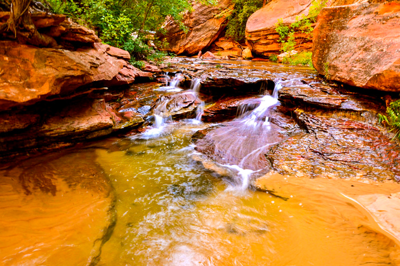Left Fork of North Creek