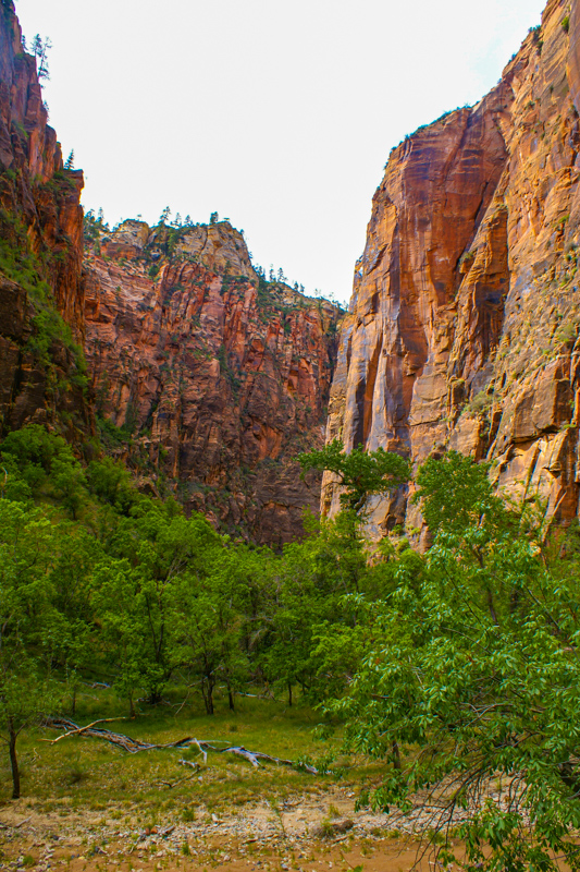 The Narrows
