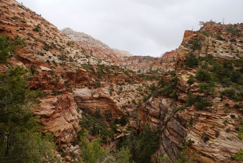 Canyon Overlook Trail