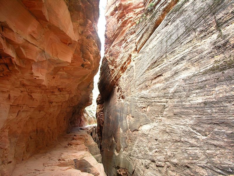 Observation Point Trail
