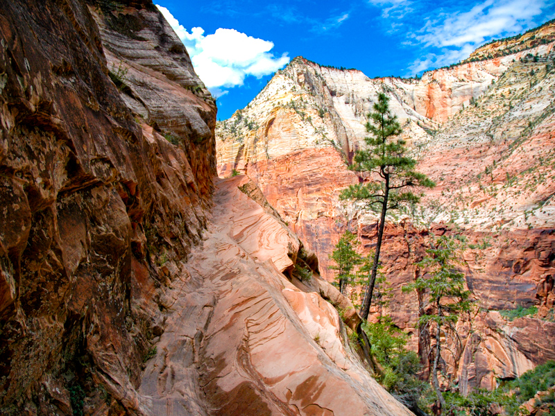 Hidden Canyon Trail