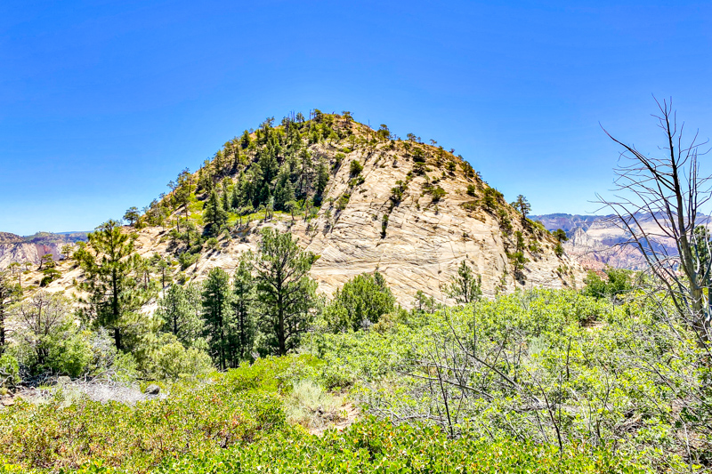 Northgate Peaks Trail