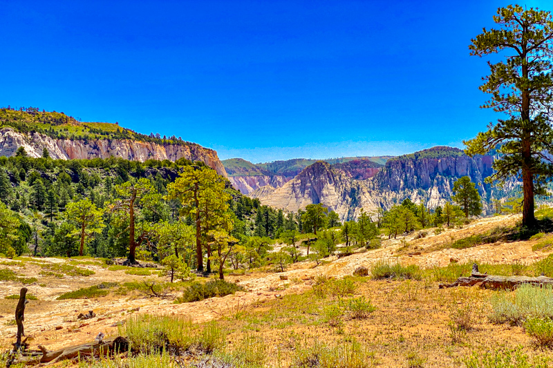 Northgate Peaks Trail