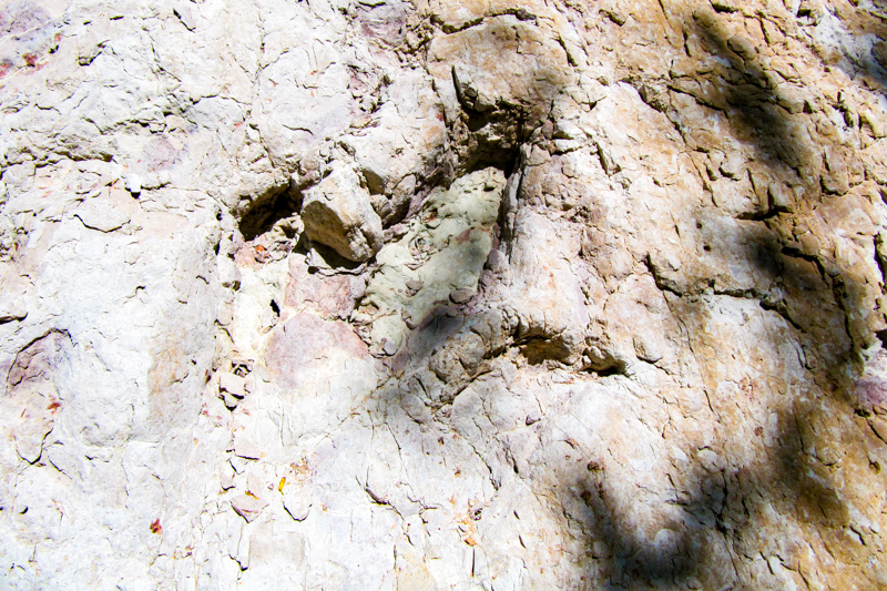 Dinosaur Tracks