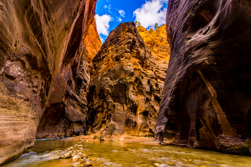 Orderville Canyon Junction