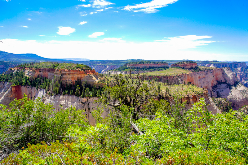 West Rim Trail