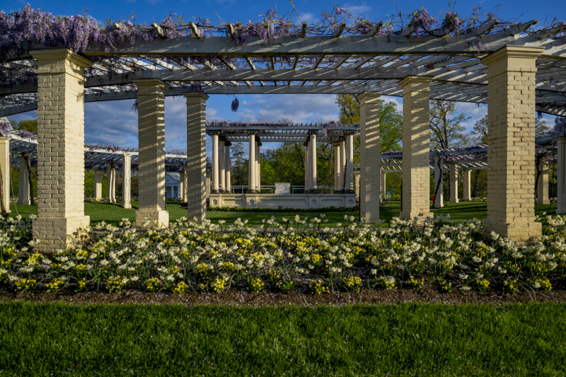 James Tanner Amphitheater