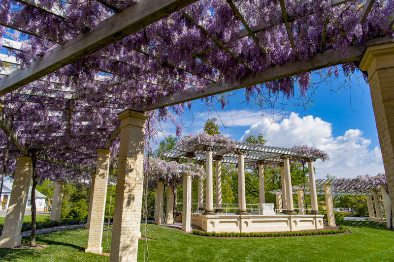 James Tanner Amphitheater
