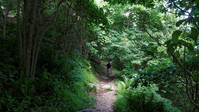 Marys Rock Summit Trail