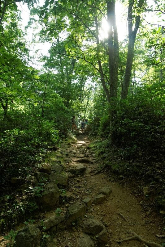 Marys Rock Summit Trail