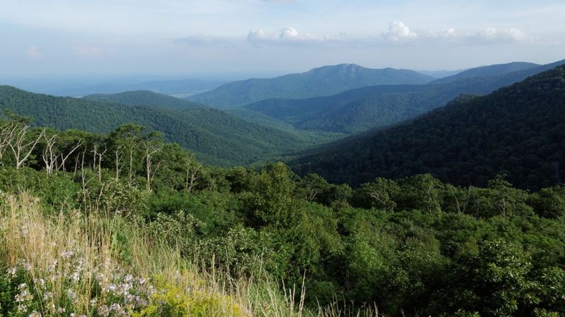 Le long de la Skyline Drive