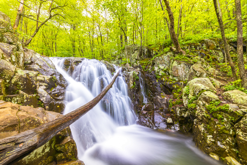 Rose River Falls