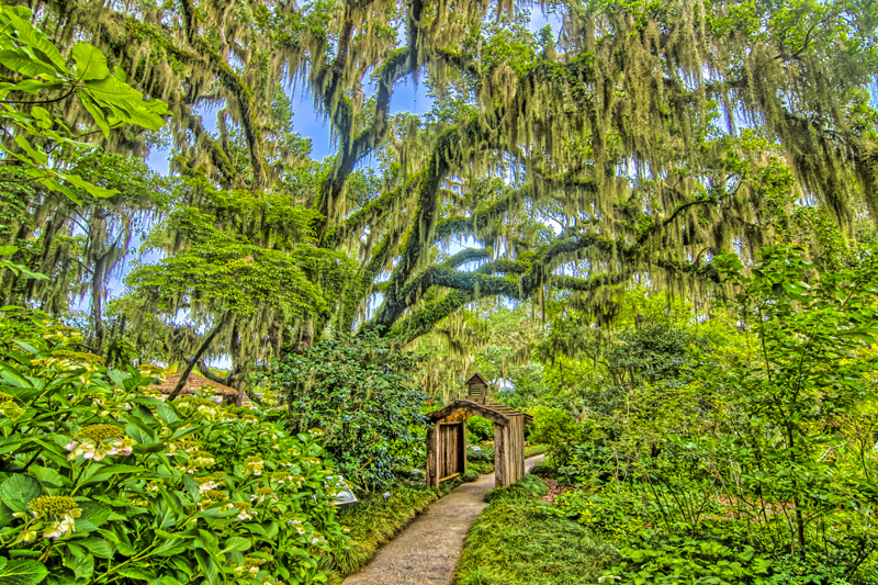 Brookgreen Gardens