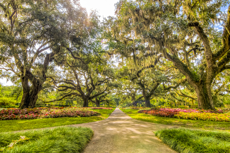 Brookgreen Gardens