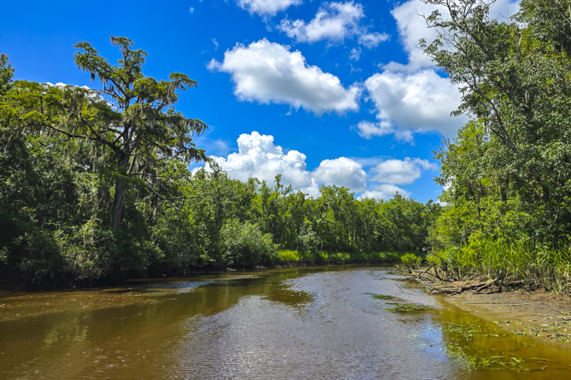 Waccamaw National Wildlife Refuge
