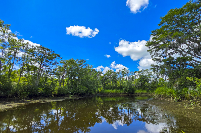 Waccamaw National Wildlife Refuge
