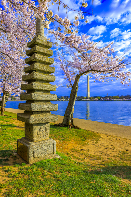 West Potomac Park