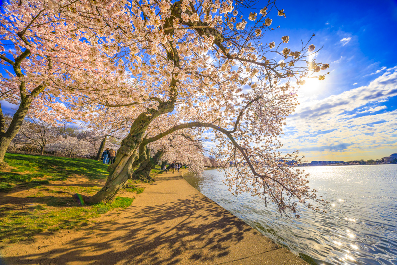 West Potomac Park