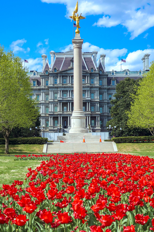 First Division Monument