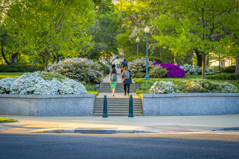 Senate Parks