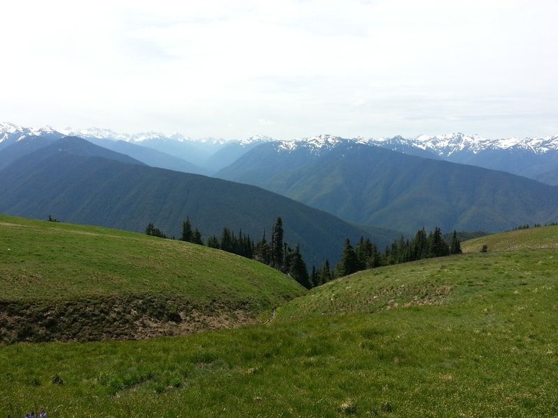 Hurricane Ridge