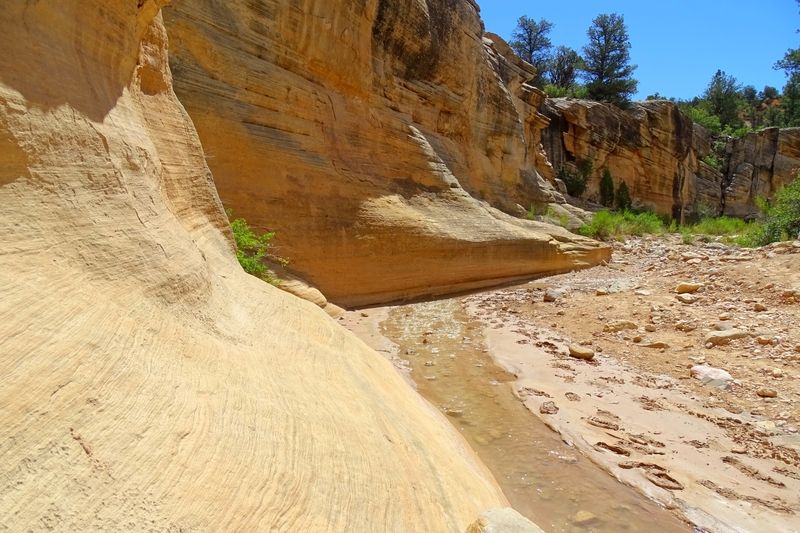 Willis Creek Slot Canyon