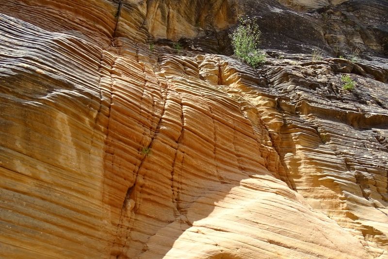 Willis Creek Slot Canyon