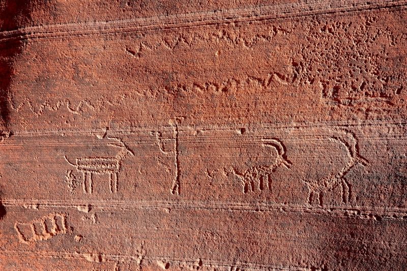 Pétroglyphes dans Wire Pass
