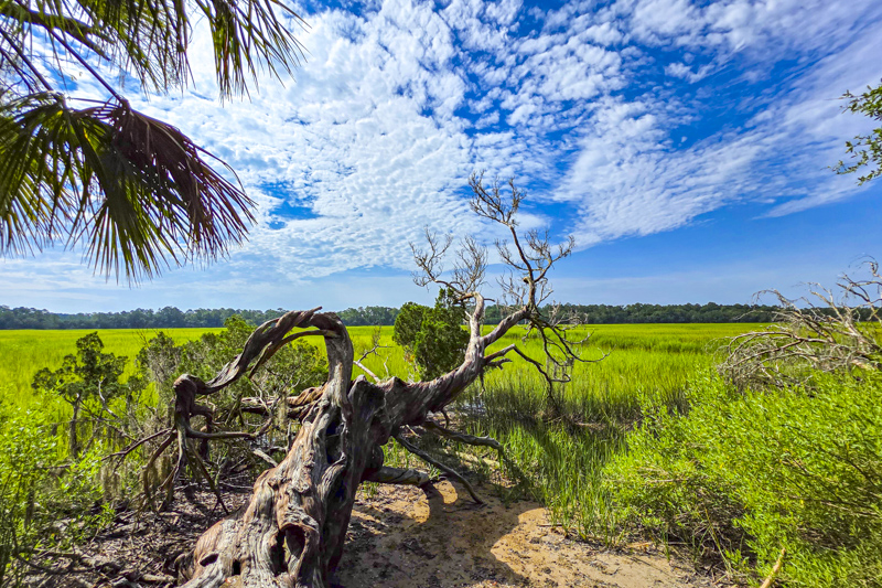 Wormsloe Historic Site Trail