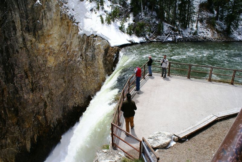 Brink of the Lower Falls