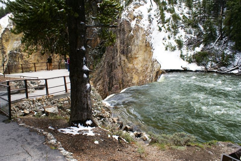 Brink of the Lower Falls