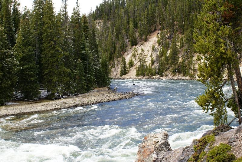 Brink of the Lower Falls