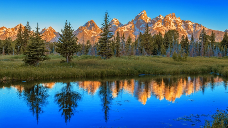 Schwabacher Landing
