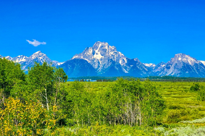 Willow Flats Overlook