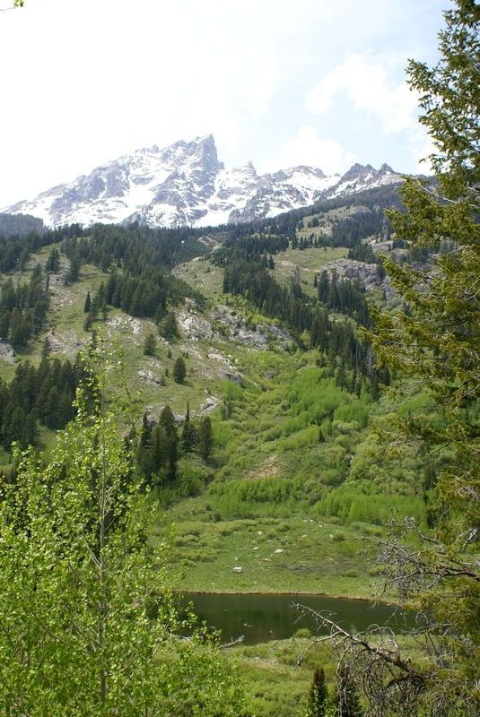Jenny Lake Loop