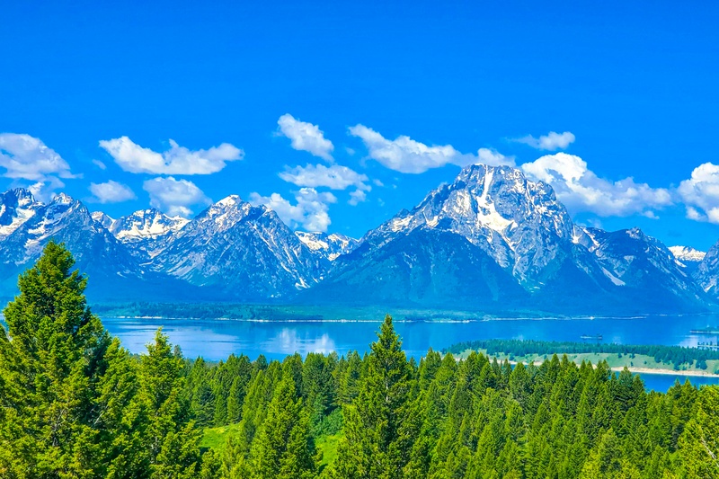 Jackson Lake Overlook
