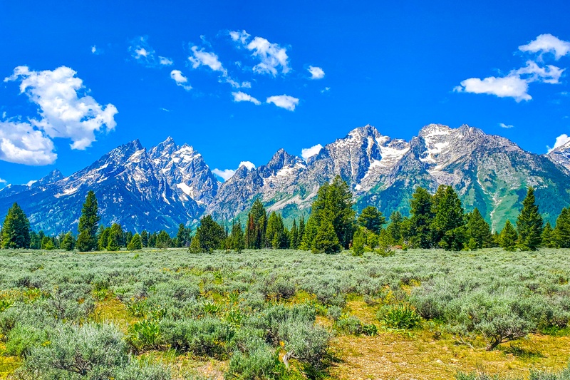 Mountain View Turnout