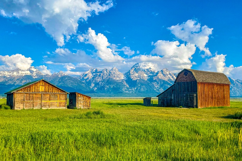 Reed Moulton Homestead