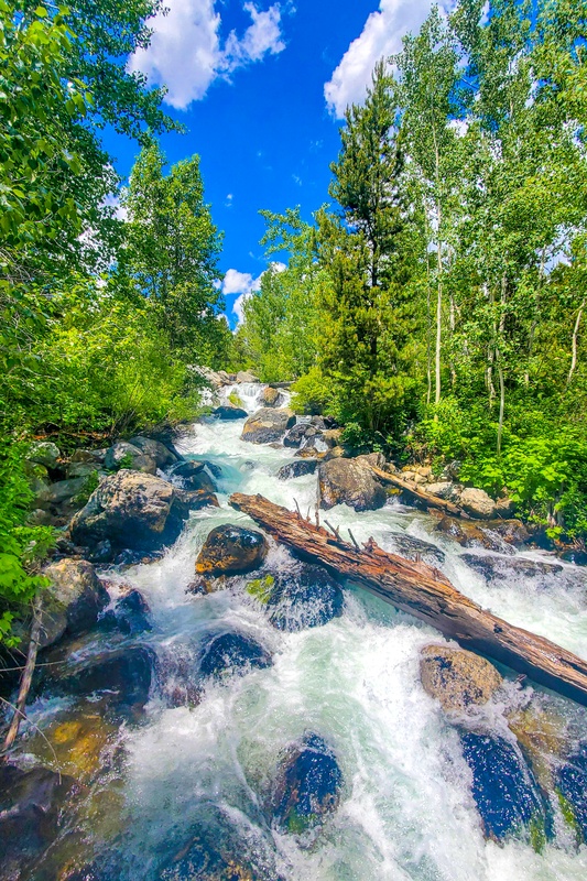Taggart Lake - Bradley Lake Loop
