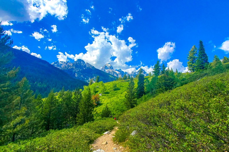 Taggart Lake - Bradley Lake Loop