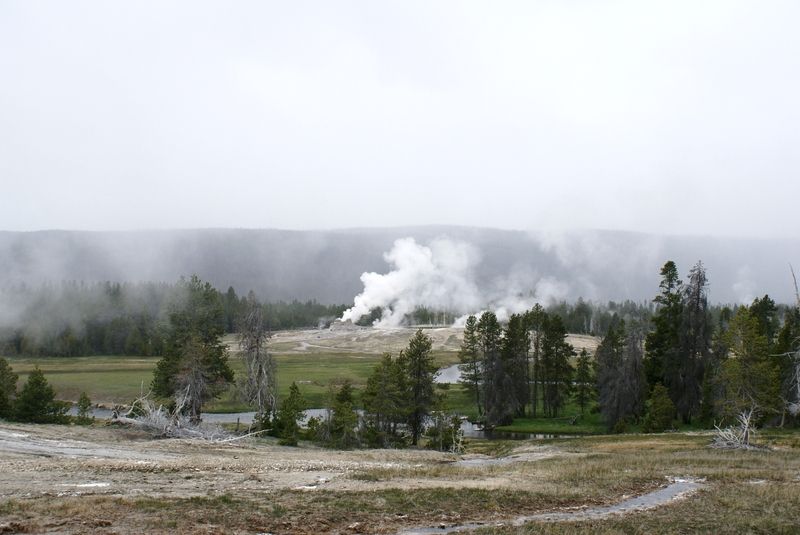 Upper Geyser Basin