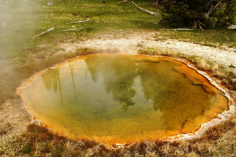 Upper Geyser Basin