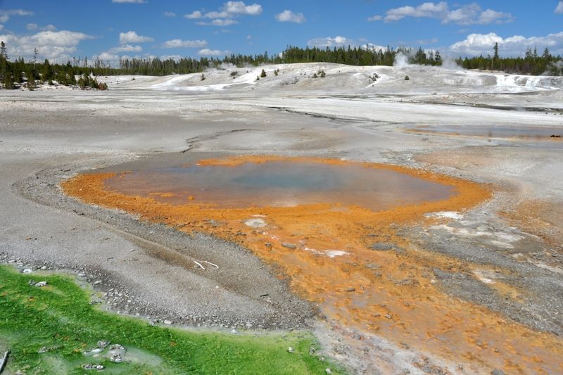 Whirligig Geyser
