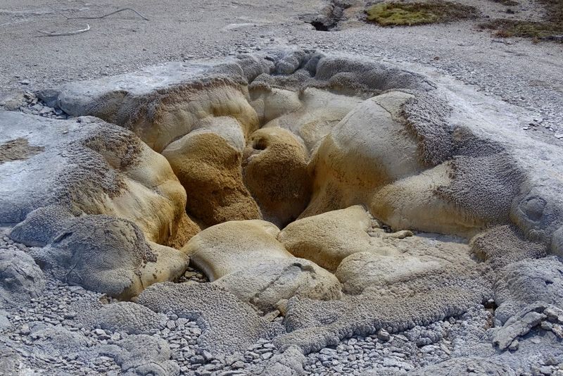 Shell Spring