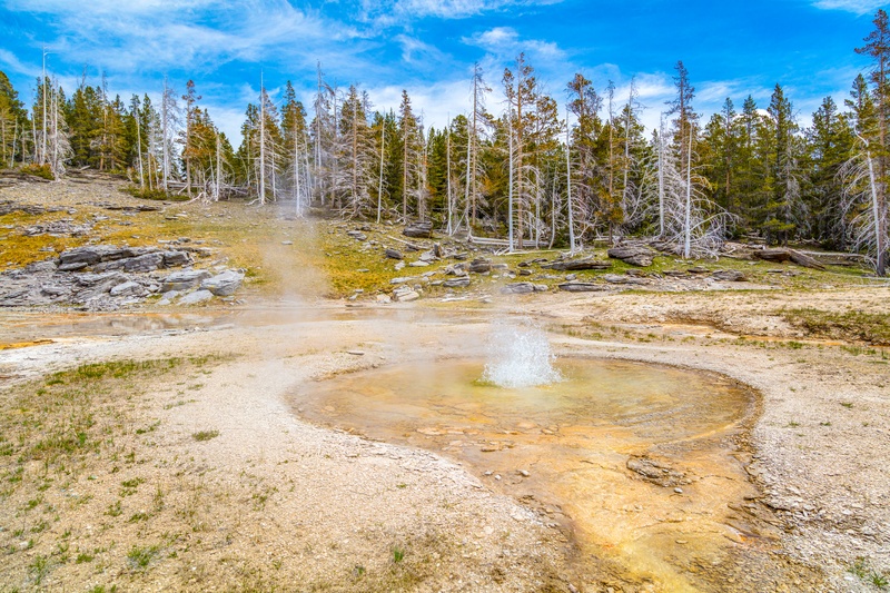West Triplet Geyser