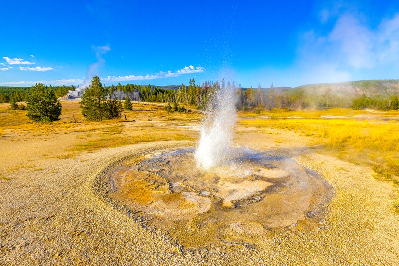 Tardy Geyser