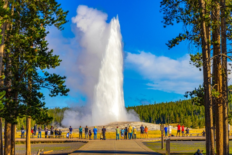 Old Faithful Geyser