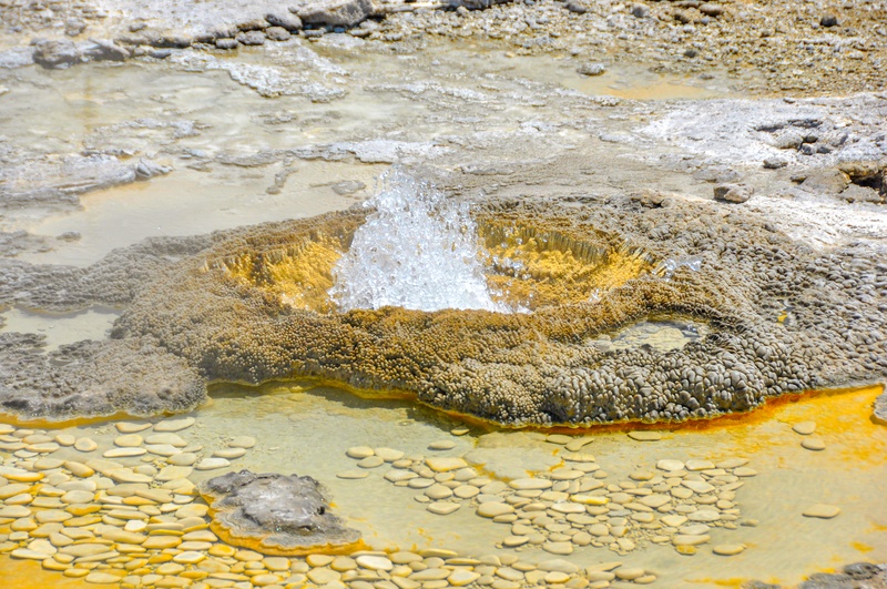 Aurum Geyser