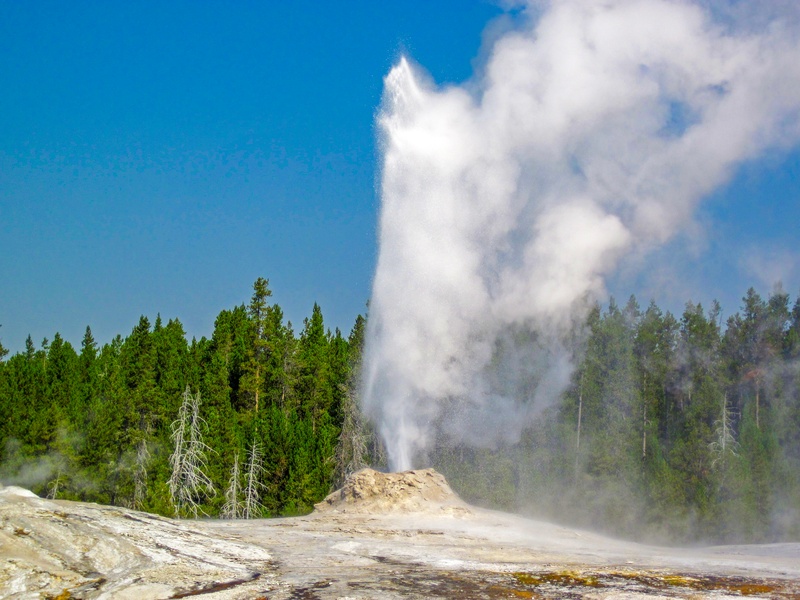 Lion Geyser